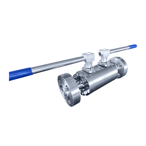 DBB Ball Valve, Floating Type Winway Valve