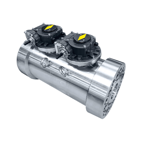 DBB Ball Valve, Trunnion Mounted Winway Valve