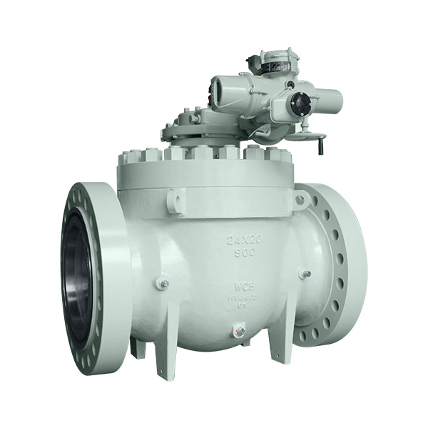 Trunnion Mounted Ball Valve, Top Entry Winway Valve
